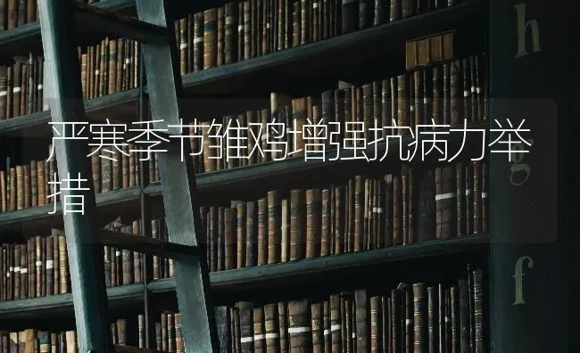 严寒季节雏鸡增强抗病力举措 | 家禽养殖