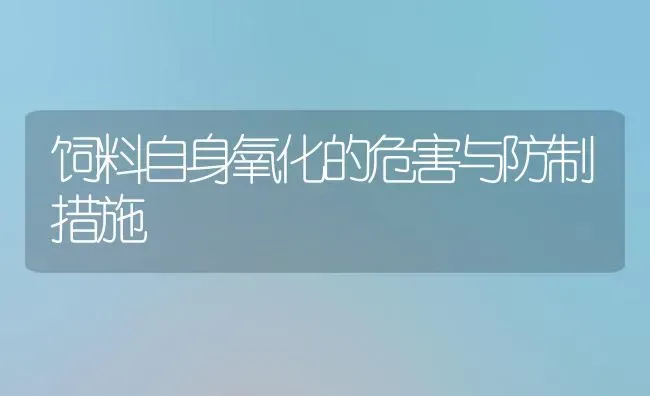 饲料自身氧化的危害与防制措施 | 动物养殖饲料