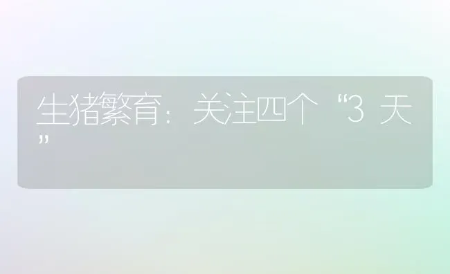 生猪繁育：关注四个“3天” | 家畜养殖
