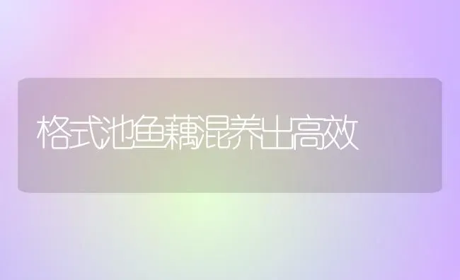 格式池鱼藕混养出高效 | 淡水养殖