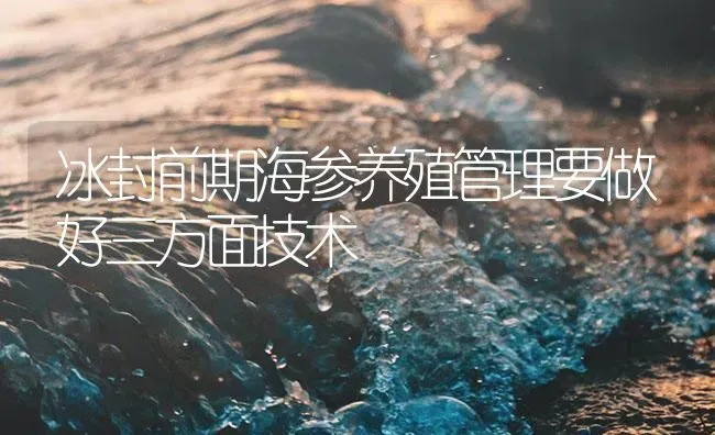 冰封前期海参养殖管理要做好三方面技术 | 海水养殖