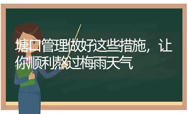 塘口管理做好这些措施，让你顺利熬过梅雨天气 | 动物养殖百科