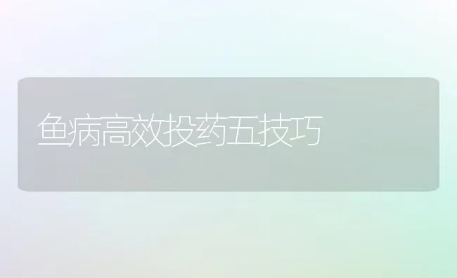 鱼病高效投药五技巧 | 养殖病虫害防治