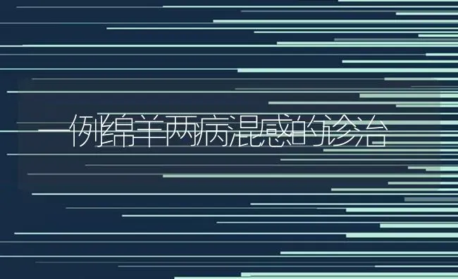 一例绵羊两病混感的诊治 | 家畜养殖