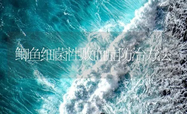 鲫鱼细菌性败血症防治方法 | 养殖病虫害防治