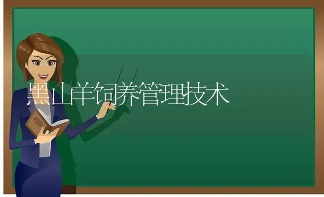 黑山羊饲养管理技术 | 家畜养殖