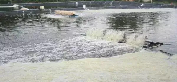 水产人挺住！大风、雷鸣、暴雨疯狂来袭，靠谱的指导方案在这里