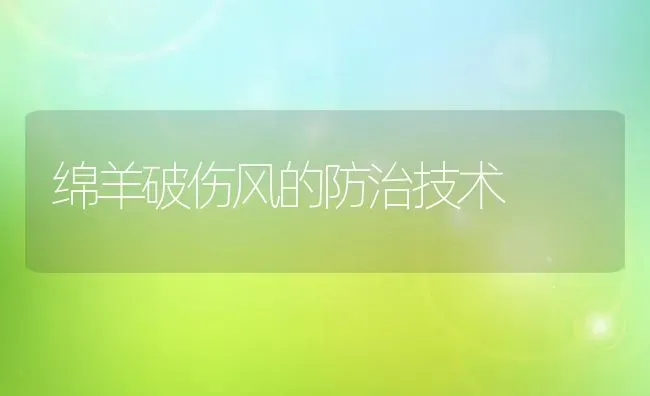 绵羊破伤风的防治技术 | 家畜养殖