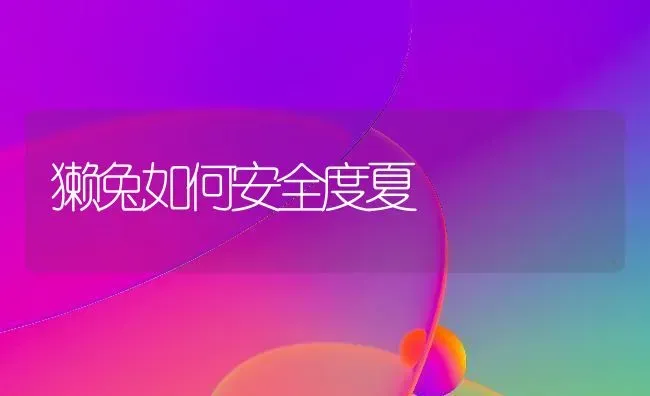 獭兔如何安全度夏 | 家畜养殖