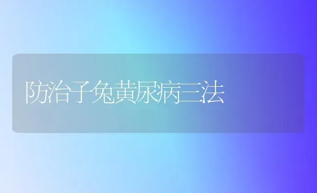 防治子兔黄尿病三法 | 家畜养殖