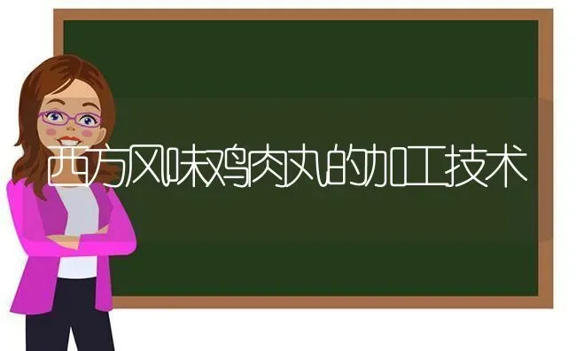 西方风味鸡肉丸的加工技术 | 家禽养殖