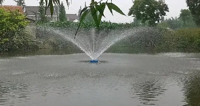 科学增氧与开机增氧（十八）原则，溶氧足水质就好鱼儿更好！