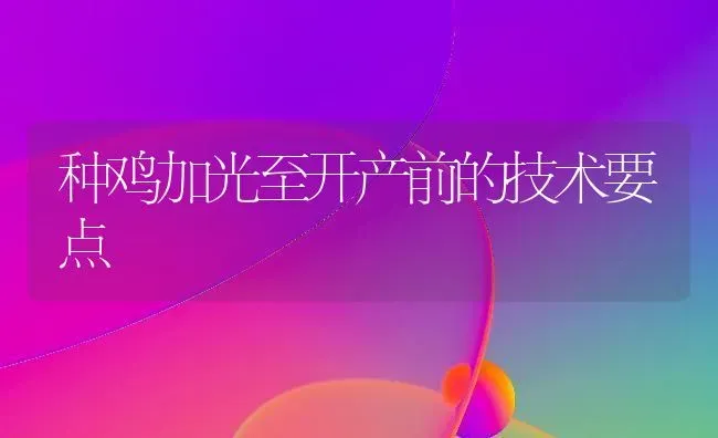 种鸡加光至开产前的技术要点 | 家禽养殖