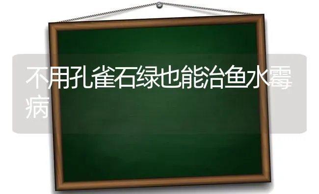 不用孔雀石绿也能治鱼水霉病 | 淡水养殖