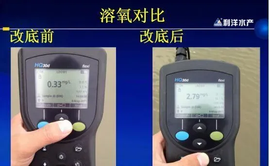鱼价低迷，养殖户这样做可以降低成本