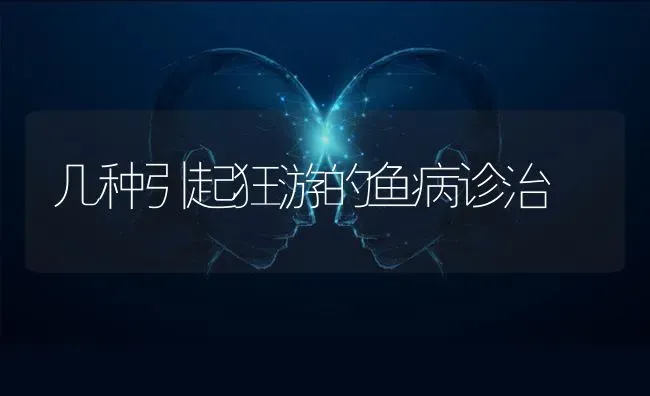 几种引起狂游的鱼病诊治 | 淡水养殖