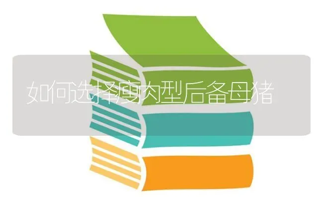 如何选择瘦肉型后备母猪 | 家畜养殖