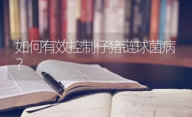 如何有效控制仔猪链球菌病？ | 家畜养殖