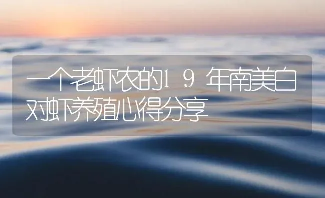 一个老虾农的19年南美白对虾养殖心得分享 | 海水养殖