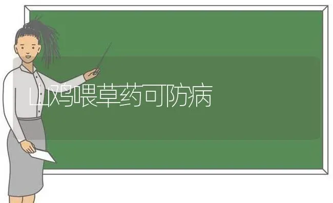 山鸡喂草药可防病 | 养殖病虫害防治