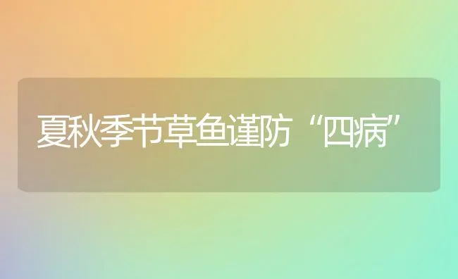 夏秋季节草鱼谨防“四病” | 淡水养殖