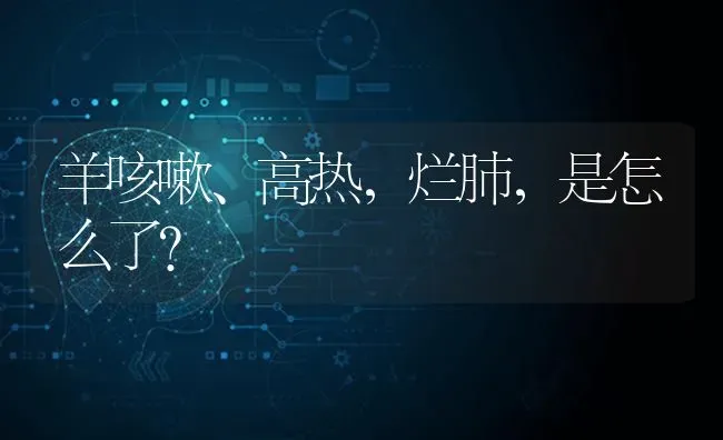 羊咳嗽、高热，烂肺，是怎么了？ | 家畜养殖