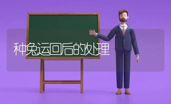 种兔运回后的处理 | 家畜养殖