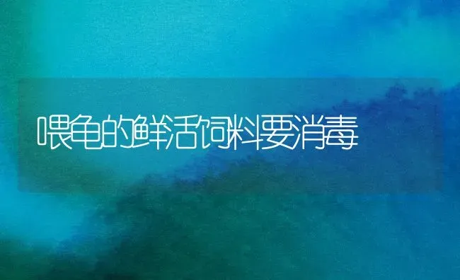 喂龟的鲜活饲料要消毒 | 动物养殖饲料