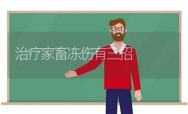 治疗家畜冻伤有三招 | 家畜养殖