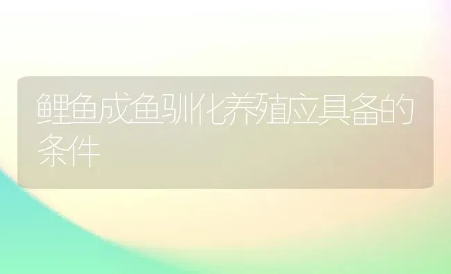 鲤鱼成鱼驯化养殖应具备的条件 | 淡水养殖