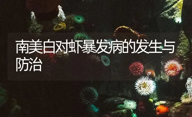 南美白对虾暴发病的发生与防治 | 海水养殖