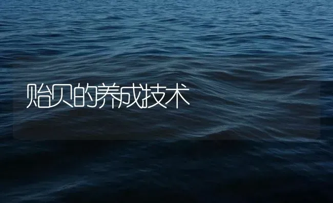 贻贝的养成技术 | 海水养殖