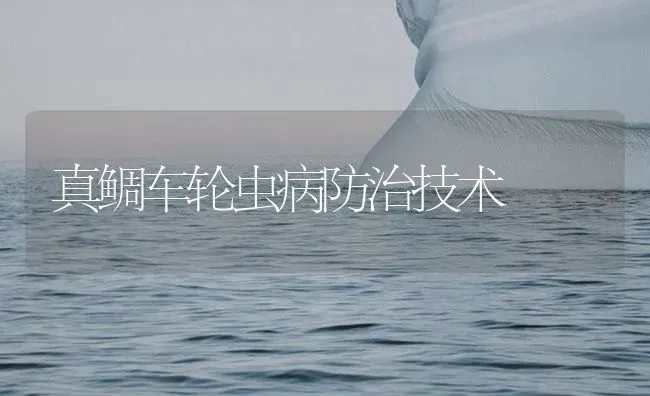 真鲷车轮虫病防治技术 | 海水养殖