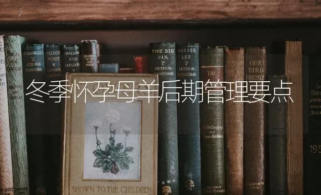 冬季怀孕母羊后期管理要点 | 家畜养殖