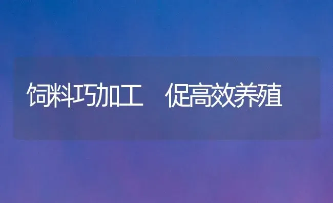 饲料巧加工 促高效养殖 | 动物养殖饲料