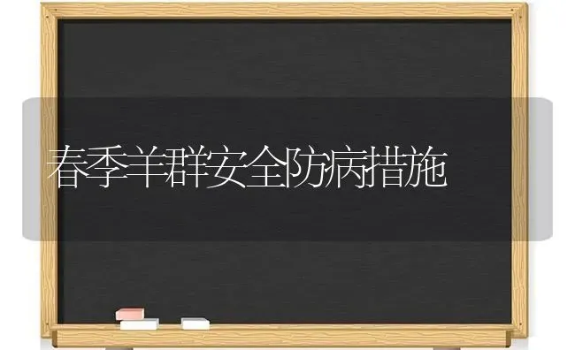 春季羊群安全防病措施 | 家畜养殖