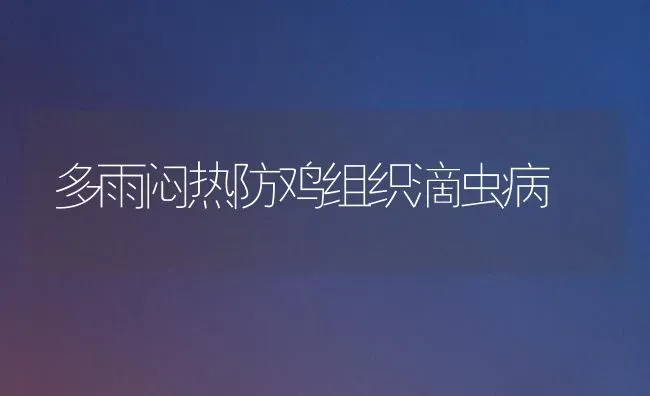 多雨闷热防鸡组织滴虫病 | 家禽养殖