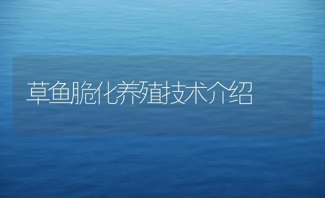 草鱼脆化养殖技术介绍 | 淡水养殖