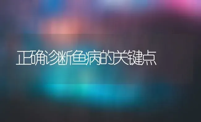 正确诊断鱼病的关键点 | 淡水养殖