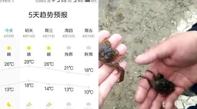 螃蟹一壳后的处理方法