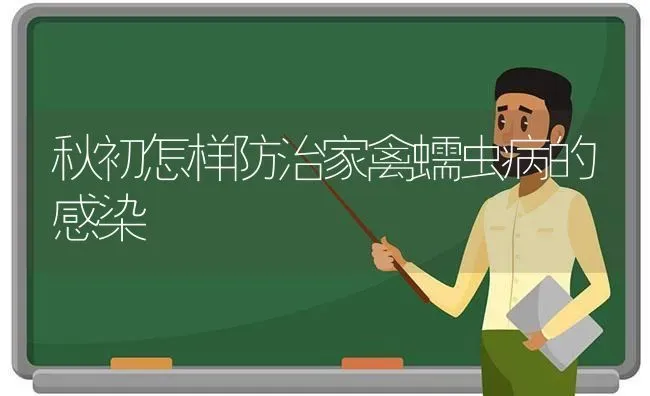 秋初怎样防治家禽蠕虫病的感染 | 家禽养殖