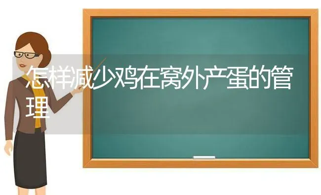 怎样减少鸡在窝外产蛋的管理 | 家禽养殖