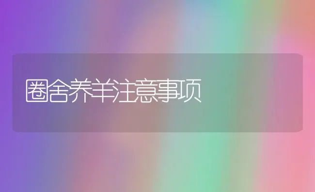 圈舍养羊注意事项 | 家畜养殖