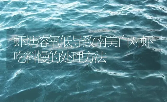 虾塘溶氧低导致南美白对虾吃料慢的处理方法 | 海水养殖