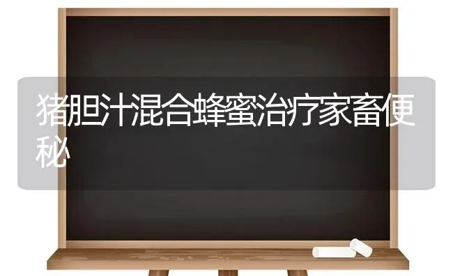 猪胆汁混合蜂蜜治疗家畜便秘 | 家畜养殖