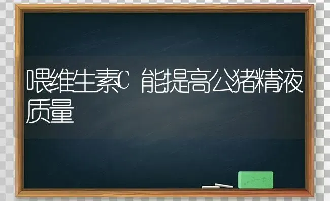 喂维生素C能提高公猪精液质量 | 家畜养殖