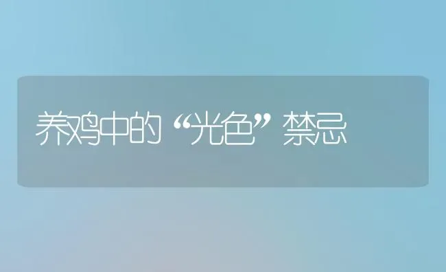 养鸡中的“光色”禁忌 | 家禽养殖