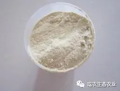 水产养殖中的微生物制剂之四：如何选购微生物制剂和几种微生物制剂的特点