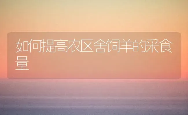 如何提高农区舍饲羊的采食量 | 家畜养殖