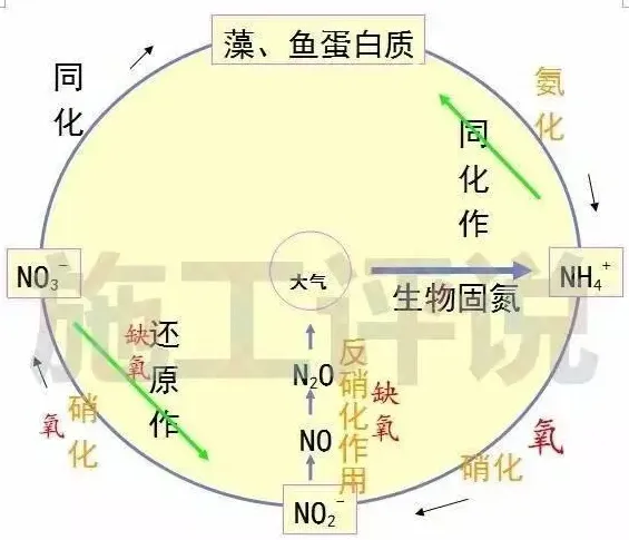 详说养殖水体中亚硝酸盐、氨氮升高的原因和应对方法